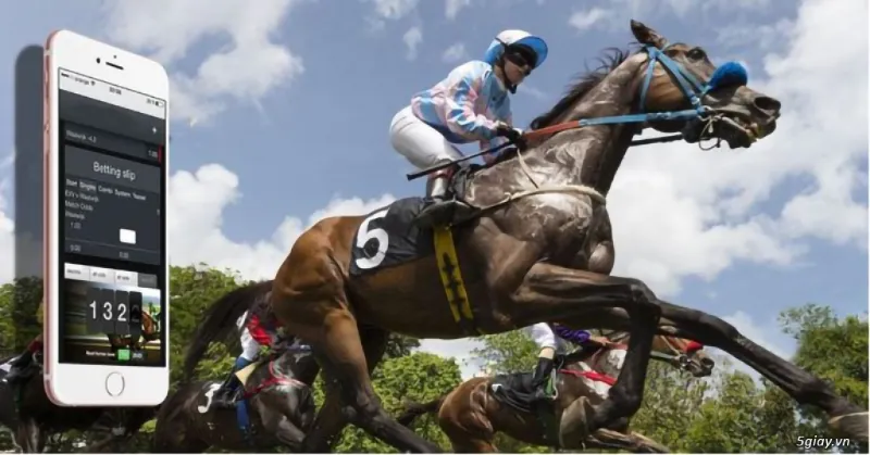 Overview of horse racing betting
